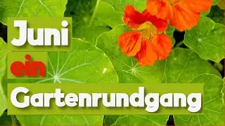 Gartenrundgang im Juni