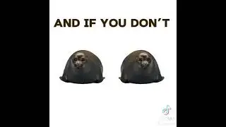 у нас телефоны только вечером на часик разрешают#люблювас #seal#моизайки#cake#funny#пустьзалетит