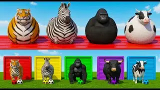 Long Slide Game with Cow Elephant Gorilla Hippopotamus Tiger 3d Animal Game Funny 3d Animals