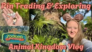 Обмен значками и новое шоу в Animal Kingdom || Первая поездка в Disney World в 2026 году