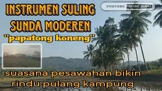 instrumen suling Sunda modern || mengiringi suasana persawahan daerah pakidulan