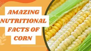 Amazing Nutritional Facts of Corn