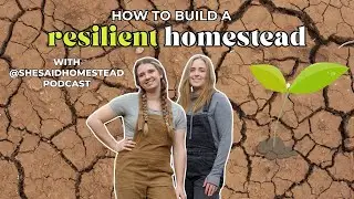 Creating a Resilient Homestead (She Said Homestead Podcast - Episode 44)