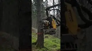 Fast Destroy Big Tree 🌴 Machine Working #shorts #treemachine #video2021