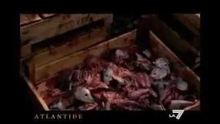 DOCUMENTARIO -  Dracula - Il Principe Della Valacchia  - VLAD III L'IMPALATORE