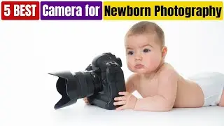 Best Camera for Newborn Photography of 2025 [Updated]