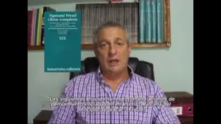 Freud: Más Allá del Principio del Placer. 1. Introducción: Fuentes de Displacer