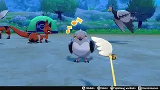 Pok&eacute;mon Sword/Shield - Playing Feather Wand with Dusselgurr / Pidove