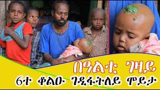 በዓልቲ ገዛይ 6ተ ቆልዑ ሓዲጋትለይ ሞይታ  ህፃውንቲ ቆልዑ ሓዲገ ናበይ ንበል ብ ወርቃእምባ ገፅኪ ምለስለይ