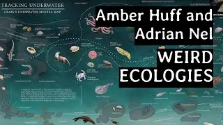 Weird Ecologies - Amber Huff and Adrian Nel