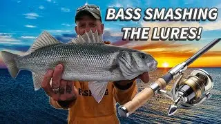 Bass Fishing Offshore Reefs With Lures! - Boat Maintenance, Servicing & Repairs