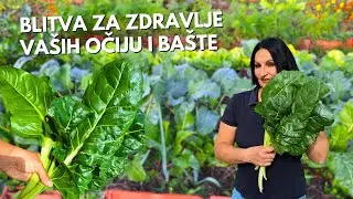 Это причина посадить мангольд! Защита глаз и сада!