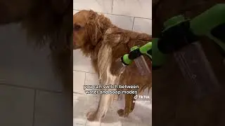 Dog groomingPet bathing#Dog washing tools#Dog care products#Dog accessories#Pet grooming supplies