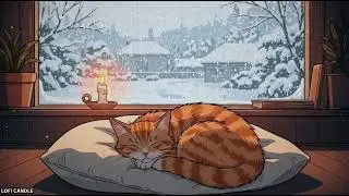 Sleeping Cat by the Window | Snow Lofi Ambience
