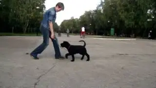 MOV00581