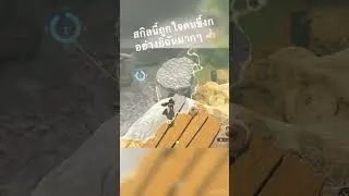ถ้าเป็นแต่ก่อนคงร่อนลงไปเก็บอ่ะ เดี๋ยวนี้สะดวกสบายมากฮะ #zelda #totk #birvieplay