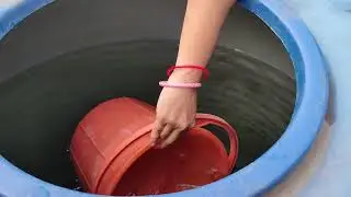 छत की Deep Cleaning | Chhat ki Deep Cleaning | Terrist