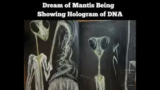 Dream of Mantis Being showing Hologram of DNA