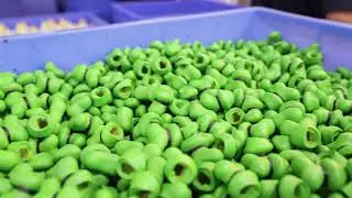 Custom Vinyl Toys & Plastic Toy Manufacturer