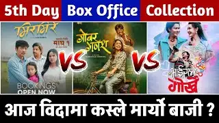 Gobar Ganesh,Mirmire & Viral Gorkhe 5th Day Box Office Collection #gobarganesh #mirmire #viralgorkhe