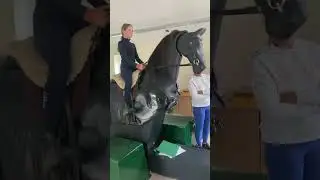 #equestrianlife #ponyclub first time on mechanical horse #ponyfun