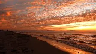 Alternative | Fusion Guitar Music | Instrumental Background Music Relaxing Soft Music Beach Sunset