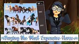 Star Stable Buying the Most EXPENSIVE Horse?? 🤑 I have regrets...