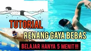Tutorial Renang Gaya Bebas Bagi Pemula | Hanya 5 Menit Langsung Bisa Renang Gaya Bebas #Swim