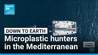 Is the Mediterranean turning into plastic soup? &bull; FRANCE 24 English