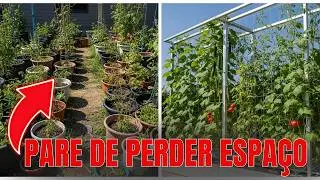 Pouco Espaço? Faça um Jardim Vertical Que Produz Comida por Anos