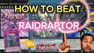 How to beat Raidraptor! Yu-Gi-Oh!