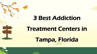 3 Best Addiction Treatment Centers in Tampa, Florida | Rehabilitation Centers