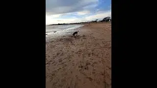 eiie beach with Ray ban meta smart glasses