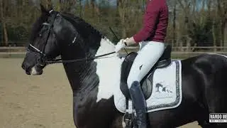 Fabian BP43