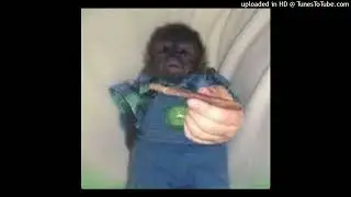 AK BANDAMONT X DETROIT TYPE BEAT (FUNKY MONKEY) @DTBEATZ