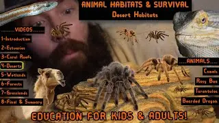 Desert Habitats: Animal Habitats & Survival
