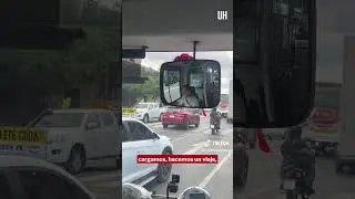Master bus city bus E Consorcio Arapoti linea E-1 