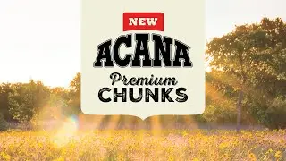 ACANA Premium Chunks Wet Dog Food - Now Serving!