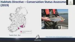 Rare and Lesser Known Fish Webinar- GFW
