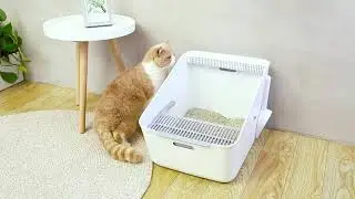 PETKIT Pura Infrared Sensor Detective Deodorising Litter Box Smart Cat Litter Tray.
