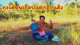 ดักหนูนาหาอยู่หากิน หมานเกินต้านจริงๆ ถุงใส่หนูนาเกือบแตก ไม่นึกไม่ฝันว่าจะหมานขนาดนี้ สุดจัดปลัดบอก