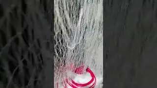 fishing with hoop nets #fishing #fish #net #carpfishing