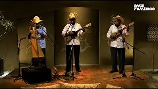 Mono Blanco - Pájaro Cu (Audio)