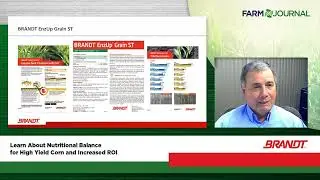 BRANDT Corn Fertility Program