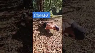 The BEST TRX Exercise!🤫 #shorts #shortvideo #story #workout #fitness #trending #pushups #trx #abs