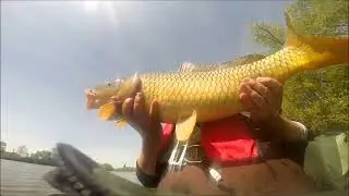 carpe float tube 2017 suite