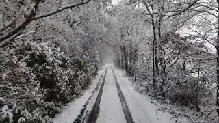 Snowy Path ❄️ Calm Winter Walk | Relaxing Loop