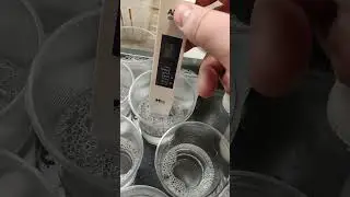 Изучаю прибором солемером или ес метром. (ec meter). количество солей в растворе часть 2.