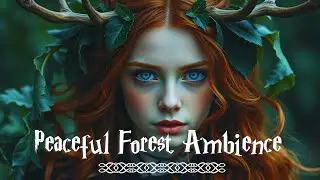 Nature's Magic 🌳 &ndash; Witchcraft Soundscape with Celtic Melodies ✨ &ndash; Peaceful Forest Ambience 🌲