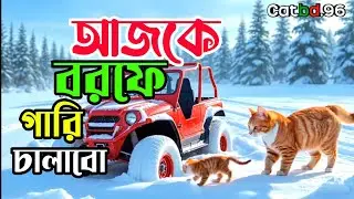 আজকে বরফে গারি চালাবো। #catshorts #cat #tending #catdriver 